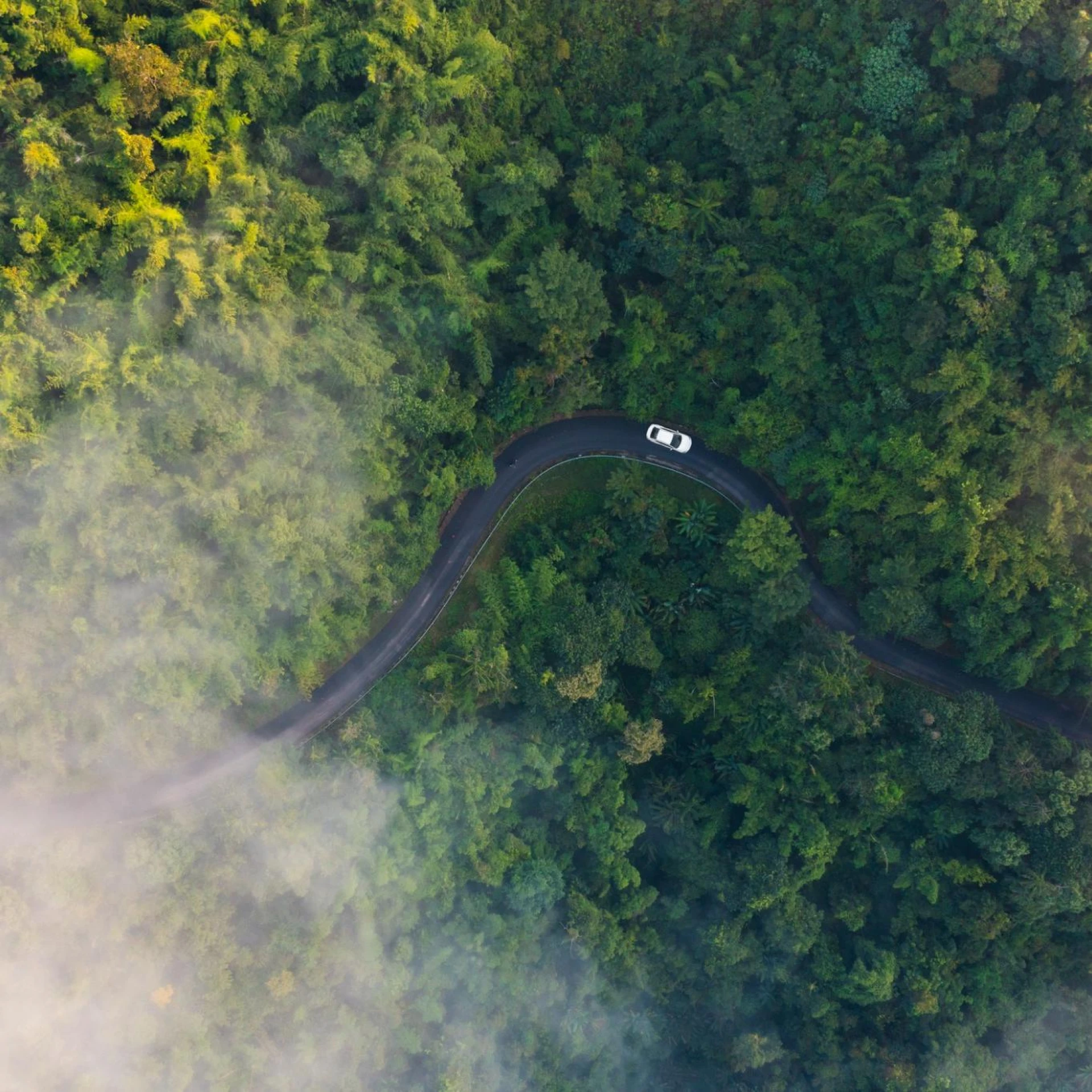 An aerial view of a car driving along a winding road through a dense, misty forest. The green foliage and curves of the road create a serene, natural scene.